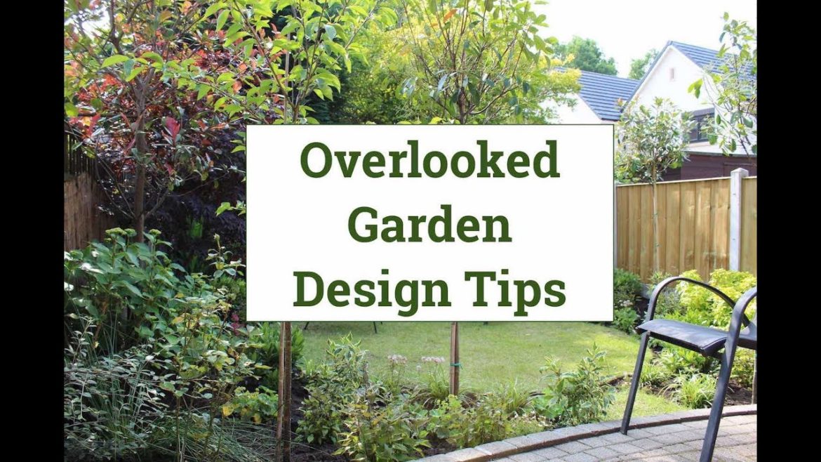 Overlooked back garden design tips Overlooked back garden design tips