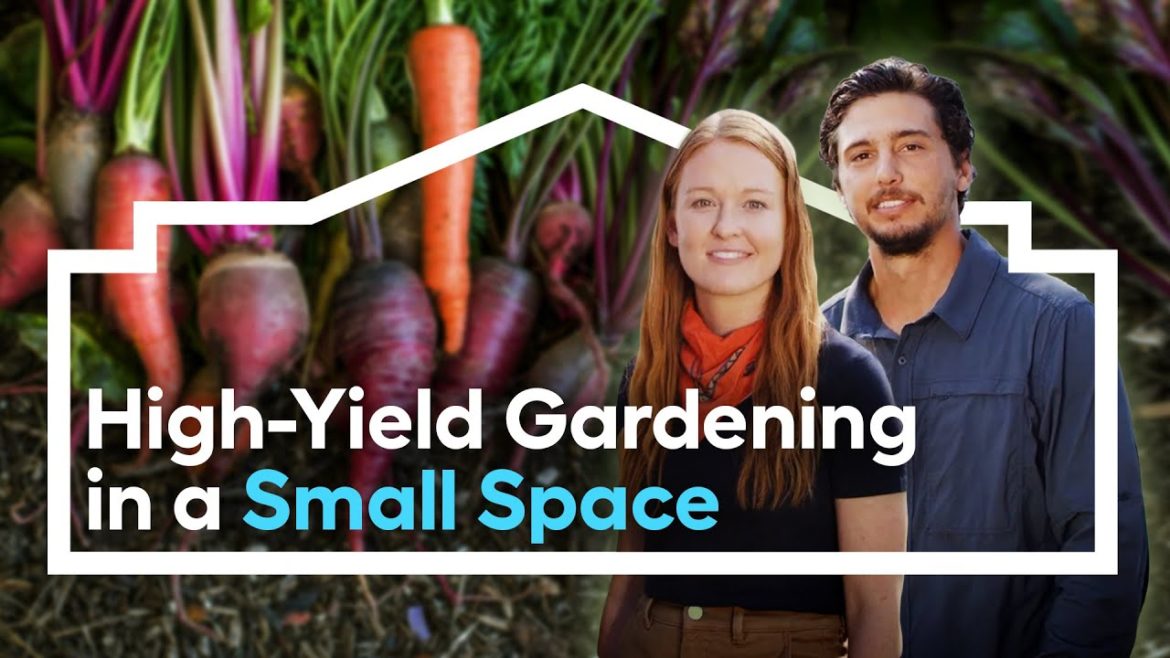 High-Yield Edible Gardening in a Small Space /// Grow Anywhere