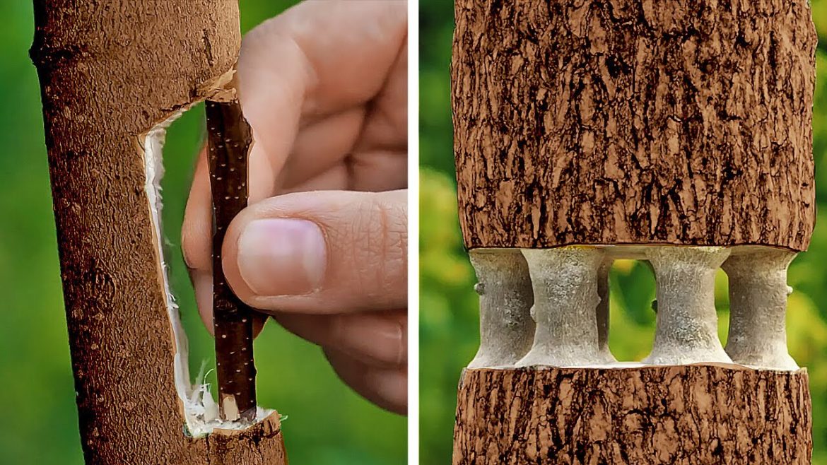 Unexpected Gardening Hacks, Fantastic Backyard Ideas & Lawn Care Tips 🪴 Unexpected Gardening Hacks, Fantastic Backyard Ideas & Lawn Care Tips 🪴