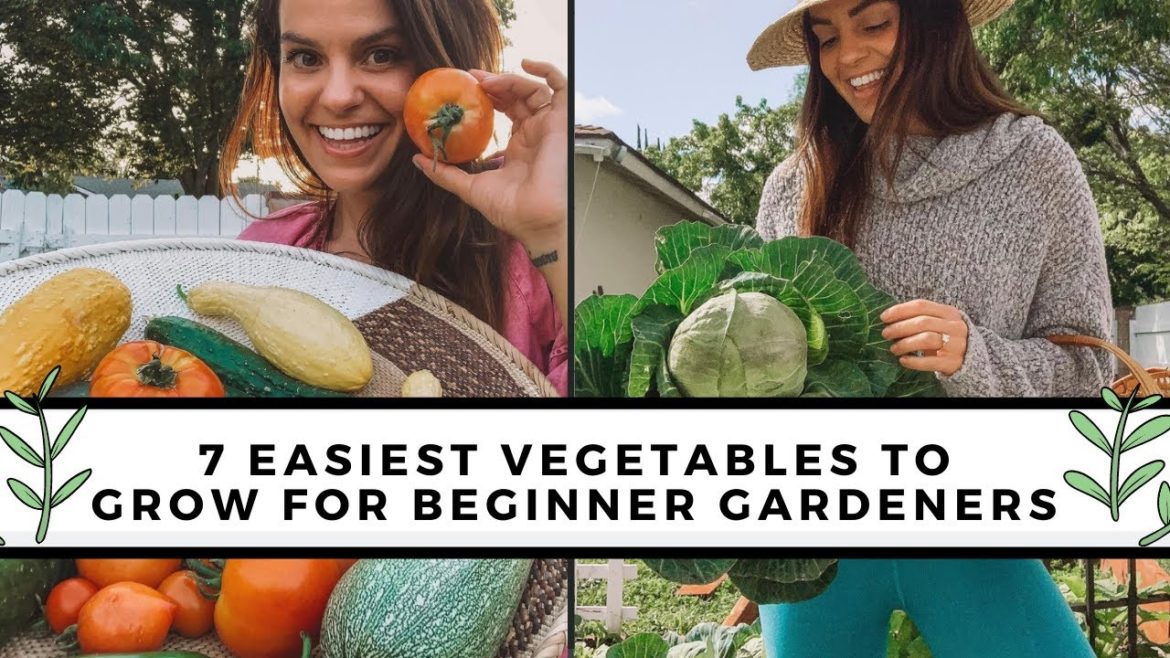 7 Easiest To Grow Vegetables For Beginners | Gardening 101 7 Easiest To Grow Vegetables For Beginners | Gardening 101