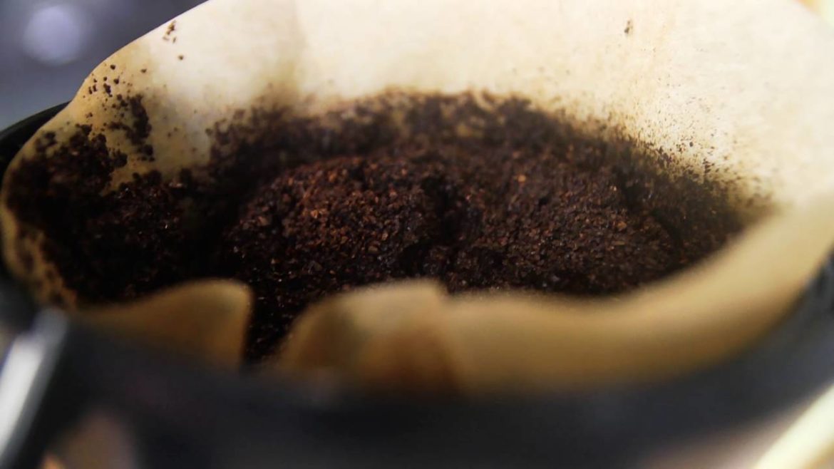 Garden Tips with P. Allen Smith--Eggshells and Coffee?