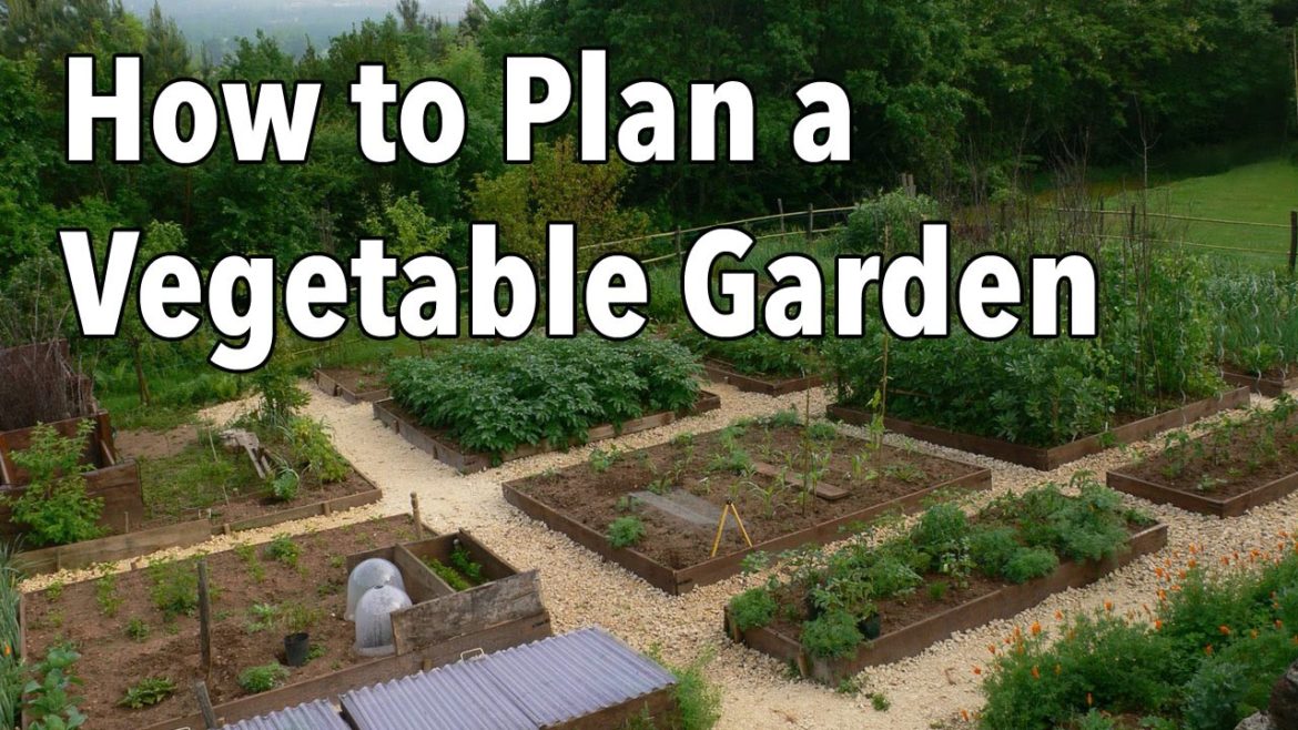 How to Plan a Vegetable Garden: Design Your Best Garden Layout How to Plan a Vegetable Garden: Design Your Best Garden Layout