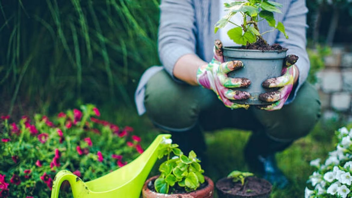 These are the top 5 gardening trends for 2022