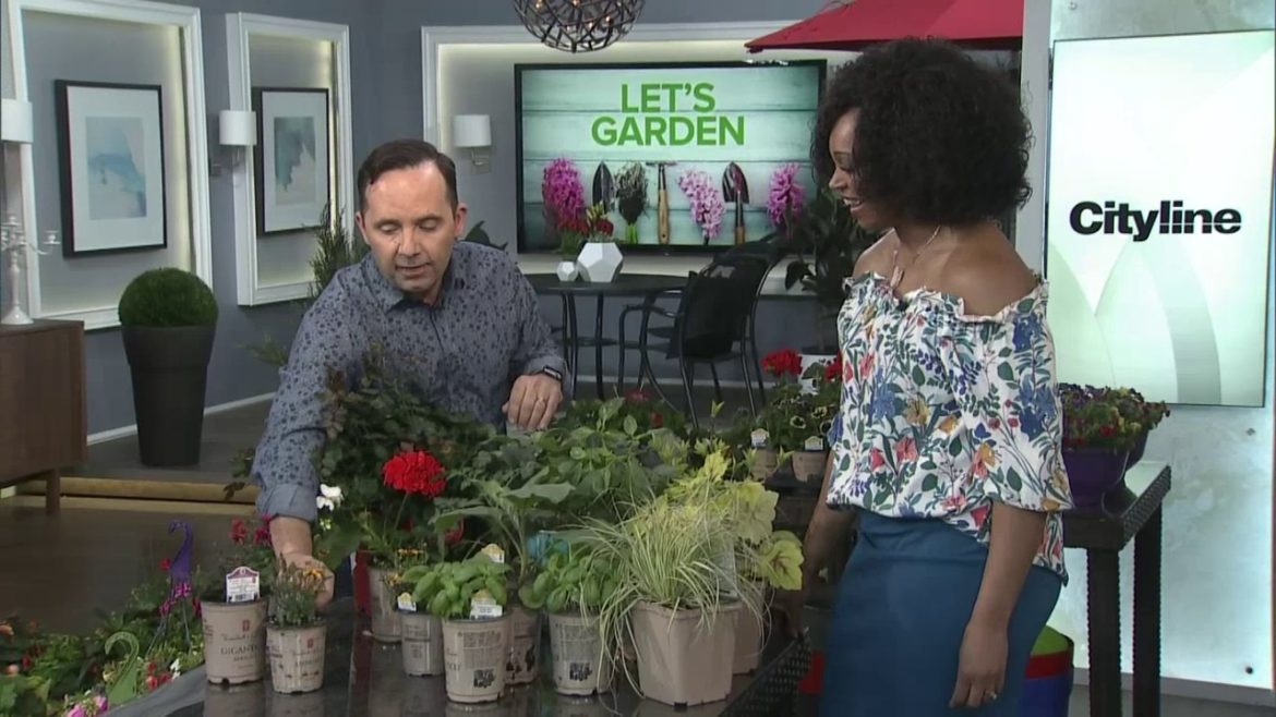 7 gardening trends in time for Canada 150