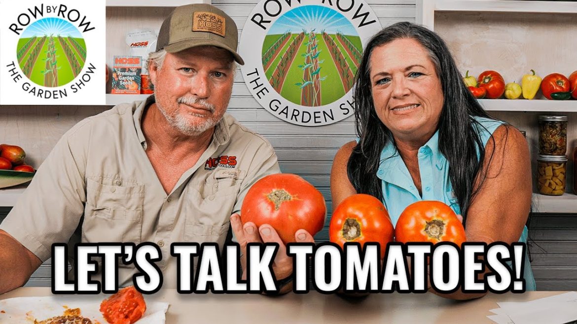 Best Gardening Tips To Grow Lots Of Tomatoes