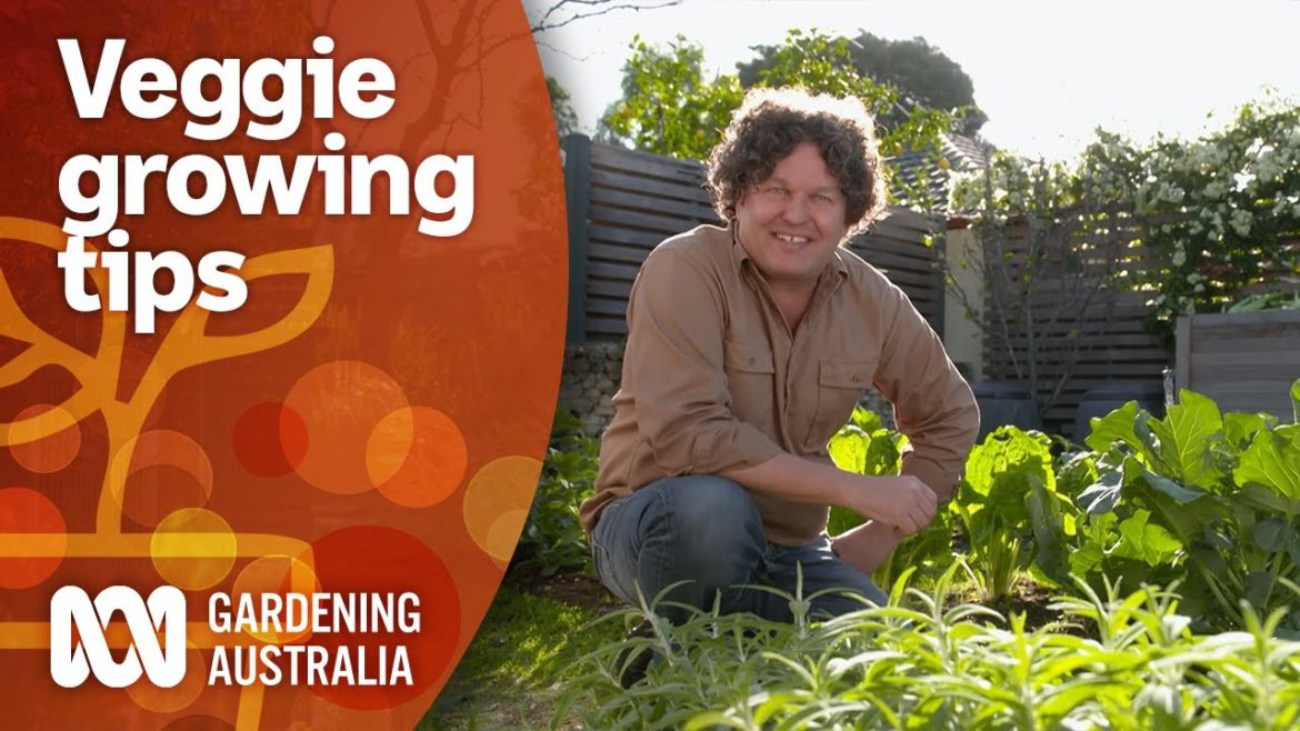How to maximise your vegetable gardens produce year-round ๐
๐๐ฅ๐ฅ | Gardening 101 | Gardening Australia How to maximise your vegetable gardens produce year-round ๐
๐๐ฅ๐ฅ | Gardening 101 | Gardening Australia