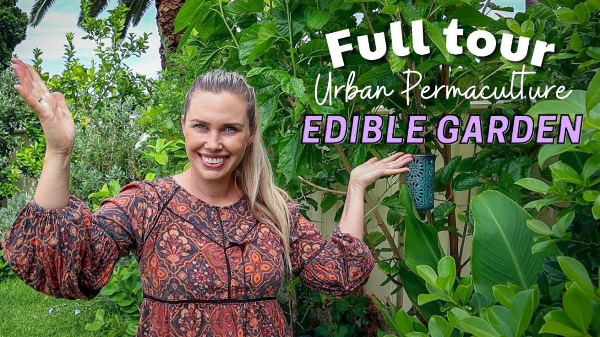 Urban Permaculture Garden Tour // Edible Gardening to build a more Sustainable Living Lifestyle Urban Permaculture Garden Tour // Edible Gardening to build a more Sustainable Living Lifestyle