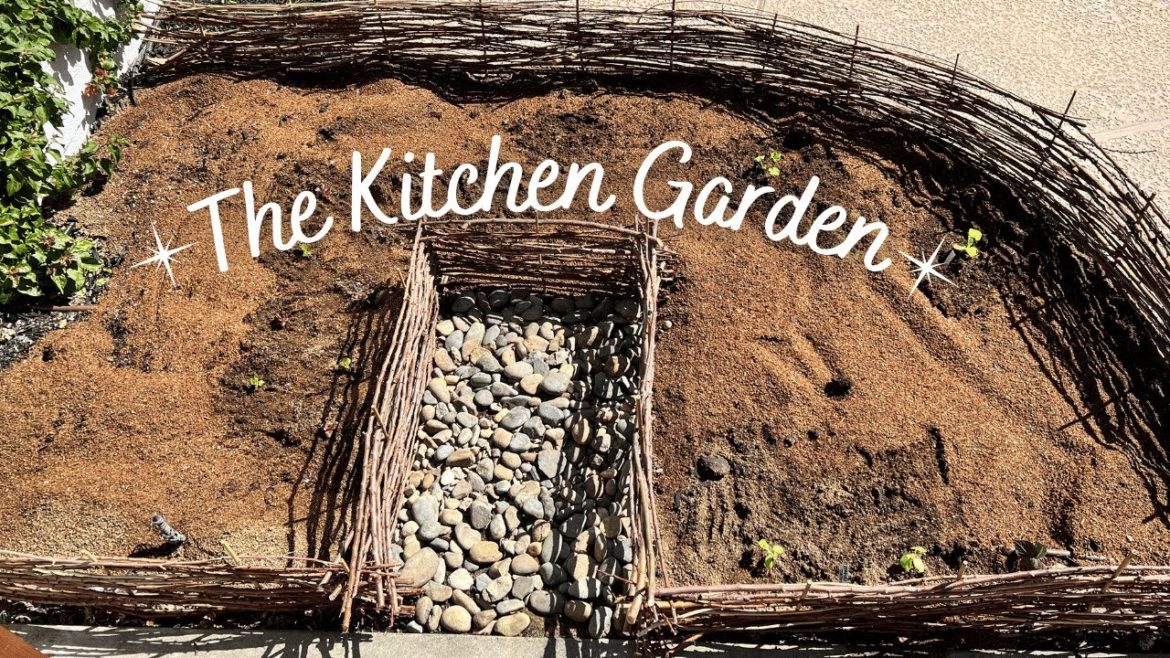 The Kitchen Garden Is In! 🥬🍅🥒 ::  Small Space Vegetable Gardening ::  Veggie Gardening Zone 9b