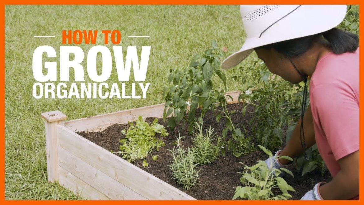 How to Grow Organically | Edible Gardening | The Home Depot
