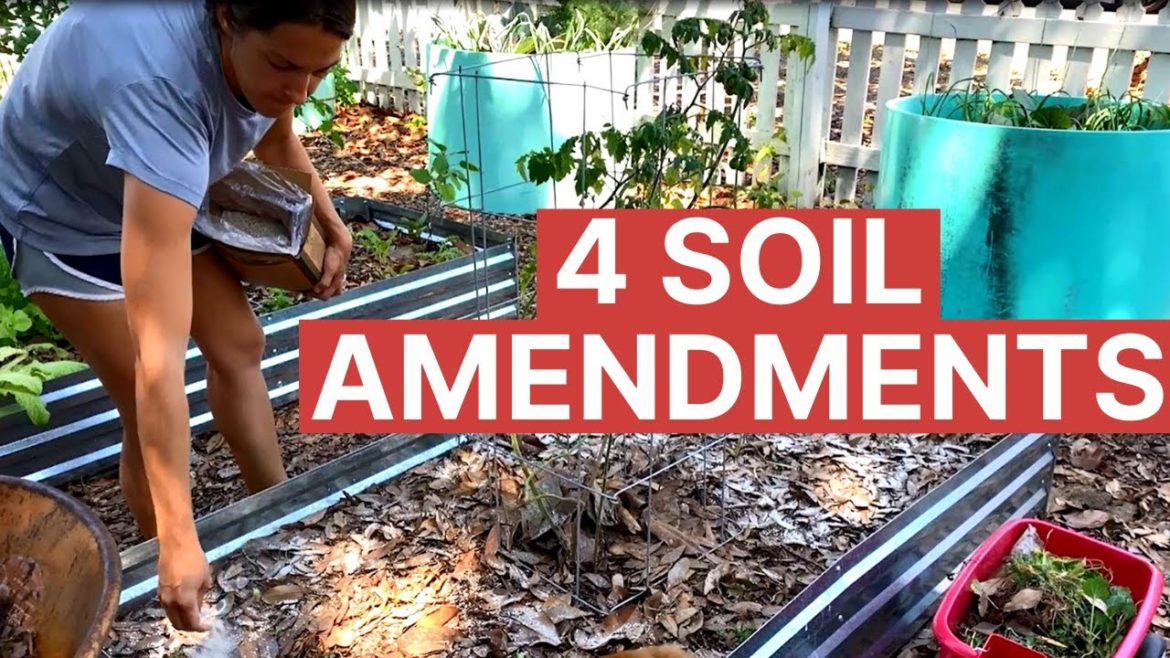 Organic Gardening 101 for Raised Beds Vegetable Gardening