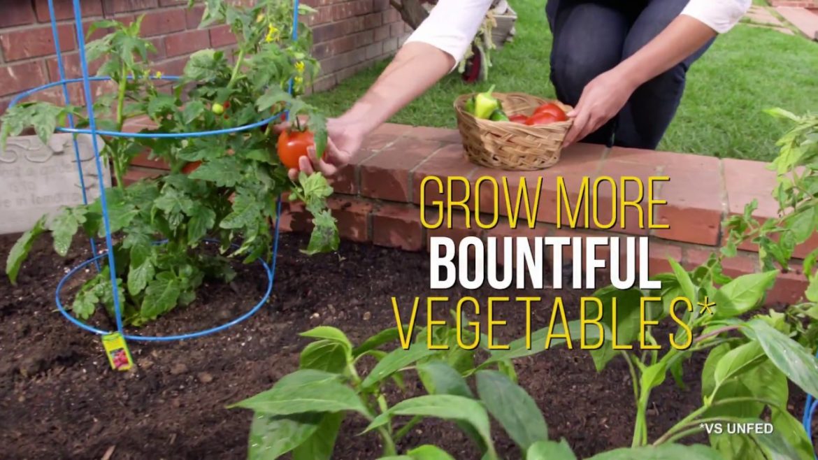 Top 5 Tips for Successful Gardening Top 5 Tips for Successful Gardening