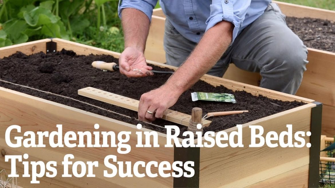 Gardening in Raised Beds: Tips for Success