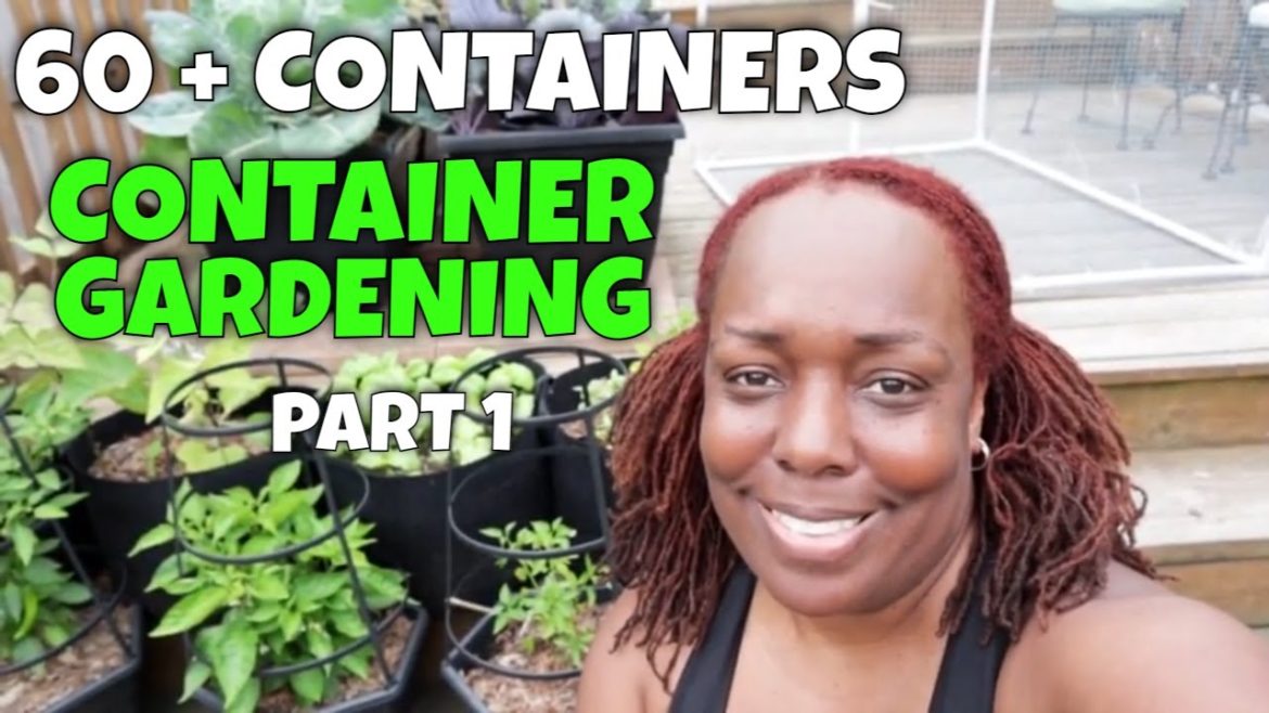 Container Garden | Growing in 60+ Containers | Part 1 Container Garden | Growing in 60+ Containers | Part 1