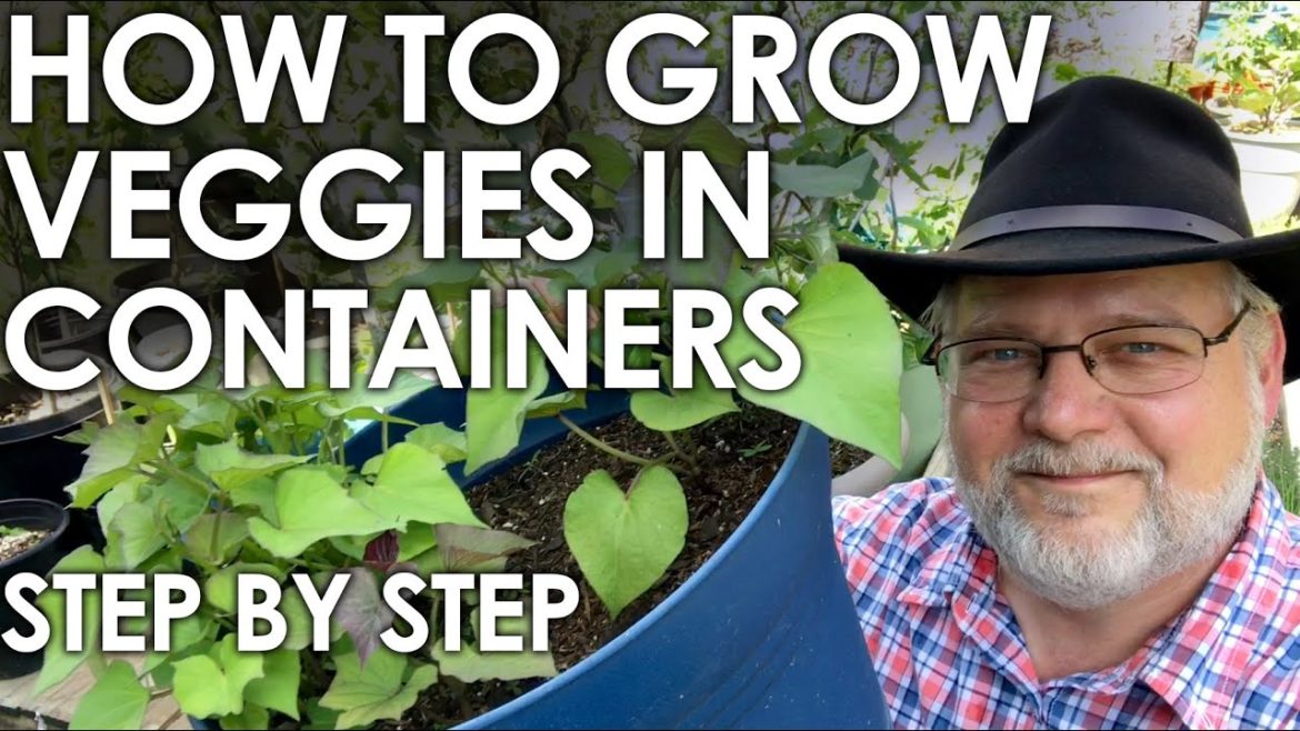 How to Grow Vegetables in Containers - A Step by Step Guide || Black Gumbo