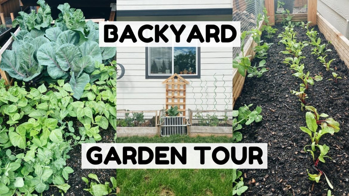Backyard Garden Tour | 5 Raised Beds!