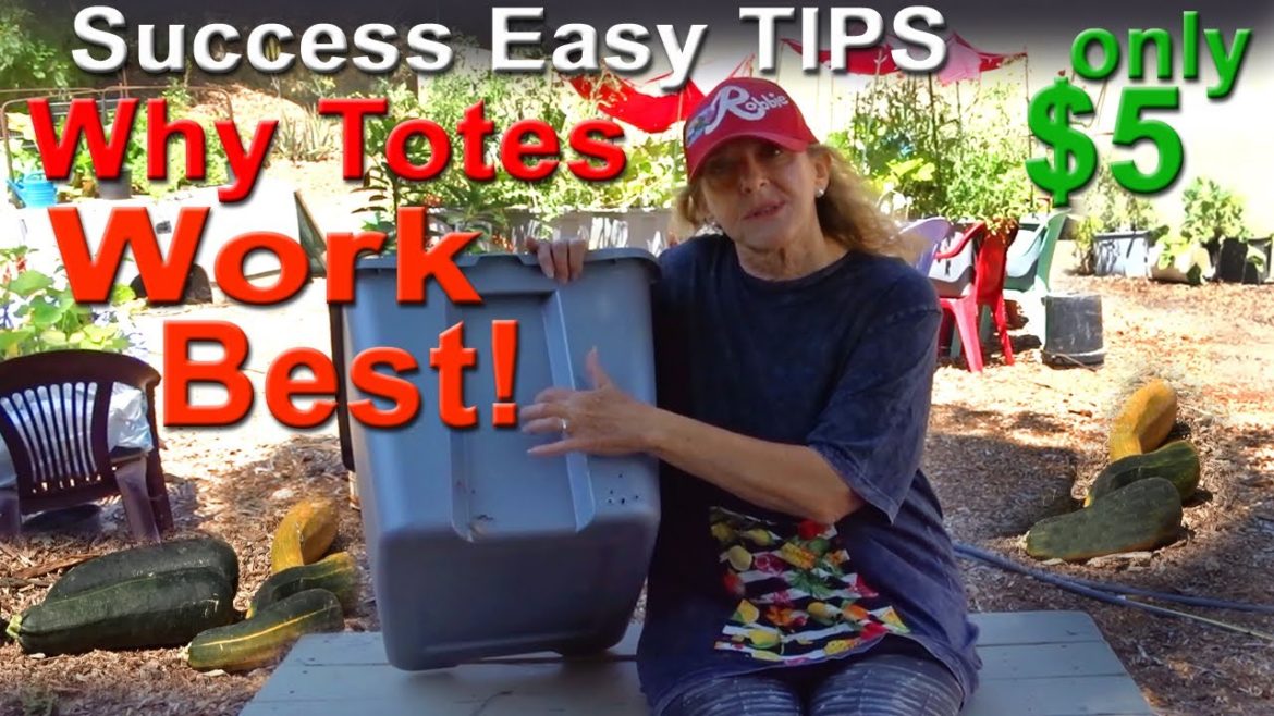 COMPLETE Guide How to Build a Raised Bed Garden On a Budget-GROW Vegetables Tote Container Gardening COMPLETE Guide How to Build a Raised Bed Garden On a Budget-GROW Vegetables Tote Container Gardening