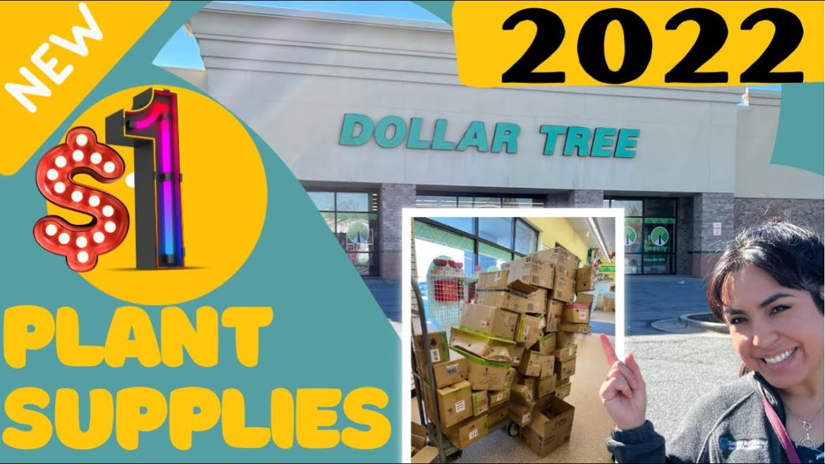 NEW ITEMS DOLLAR TREE / TIME TO RESTOCK IN PLANTS & GARDEN SUPPLIES / 2022 / WHAT YOU SHOULD BUY!!! NEW ITEMS DOLLAR TREE / TIME TO RESTOCK IN PLANTS & GARDEN SUPPLIES / 2022 / WHAT YOU SHOULD BUY!!!