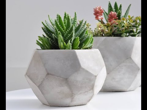 Garden Trends For 2020 (Part one) Garden Trends For 2020 (Part one)