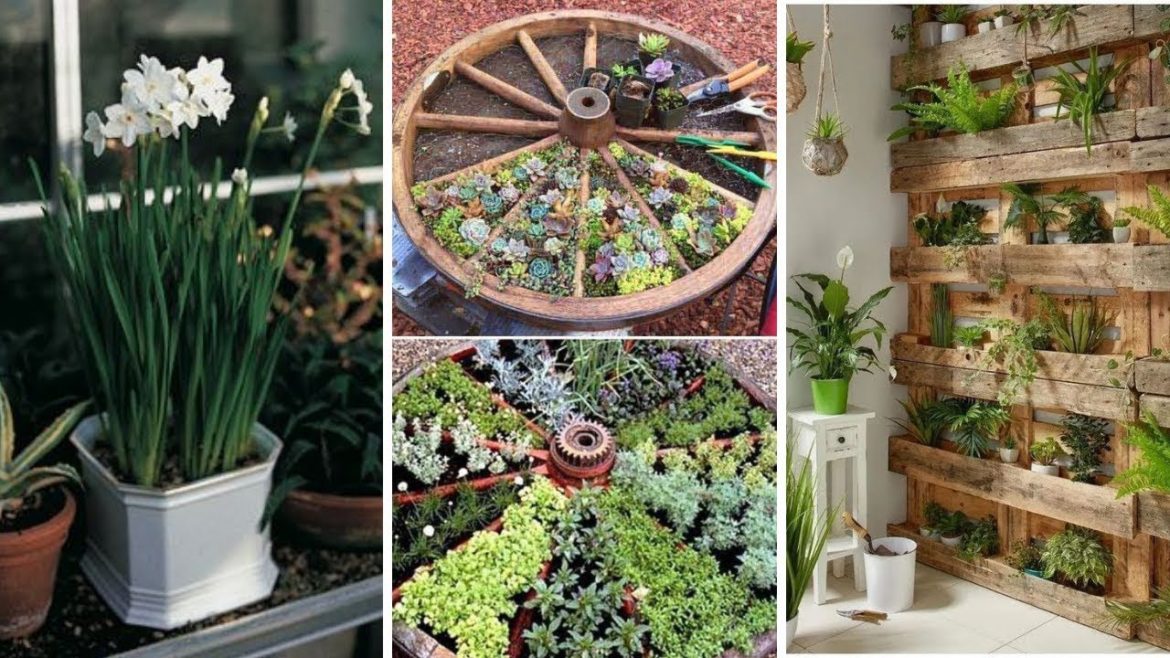 10 Edible Garden Ideas 10 Edible Garden Ideas