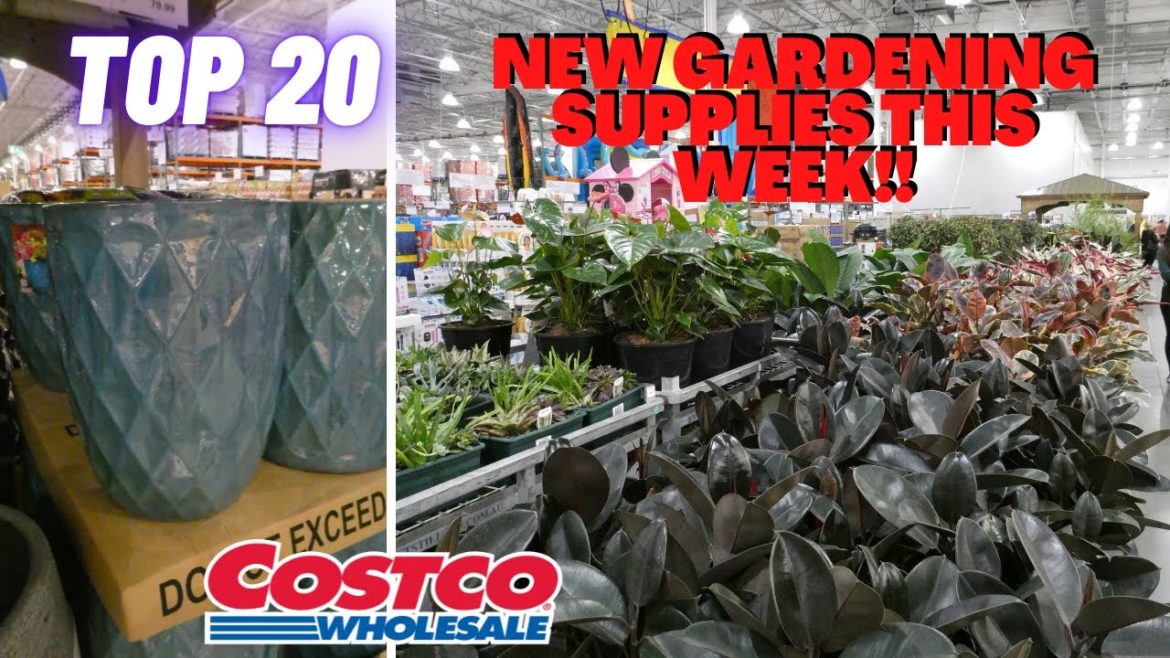 COSTCO - ALL The NEW Gardening Supplies You NEED to SEE