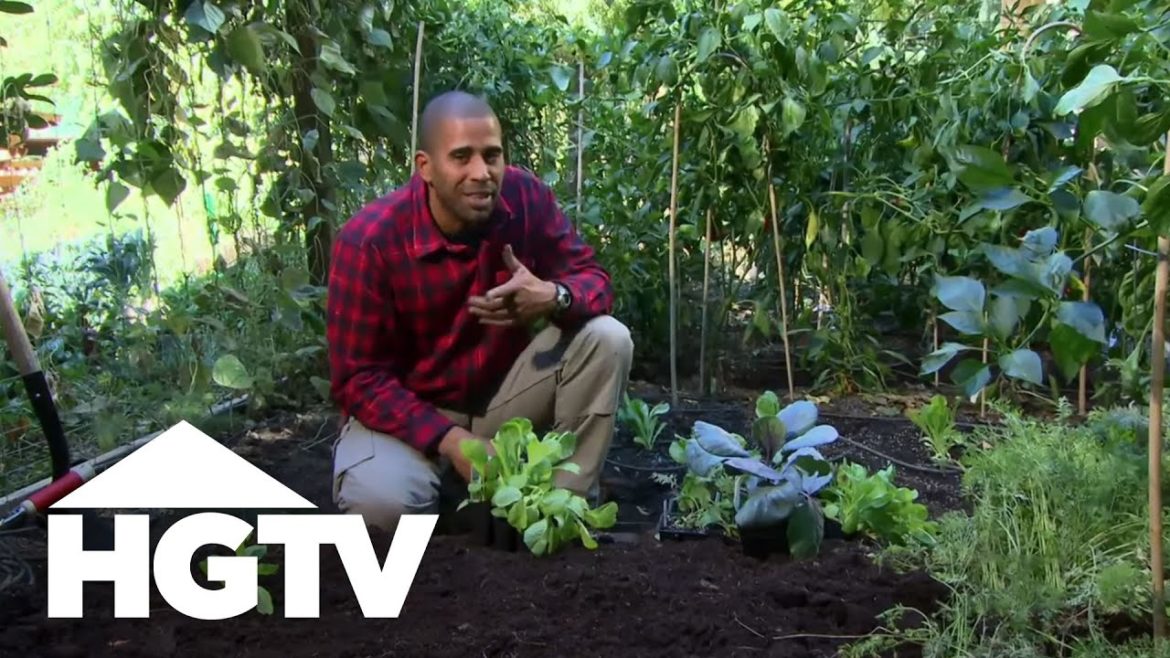 How To Grow a Vegetable Garden | Gardening Tips | HGTV How To Grow a Vegetable Garden | Gardening Tips | HGTV