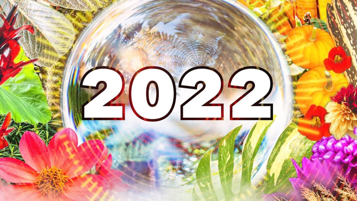 UK Garden & Plant Trends for 2022