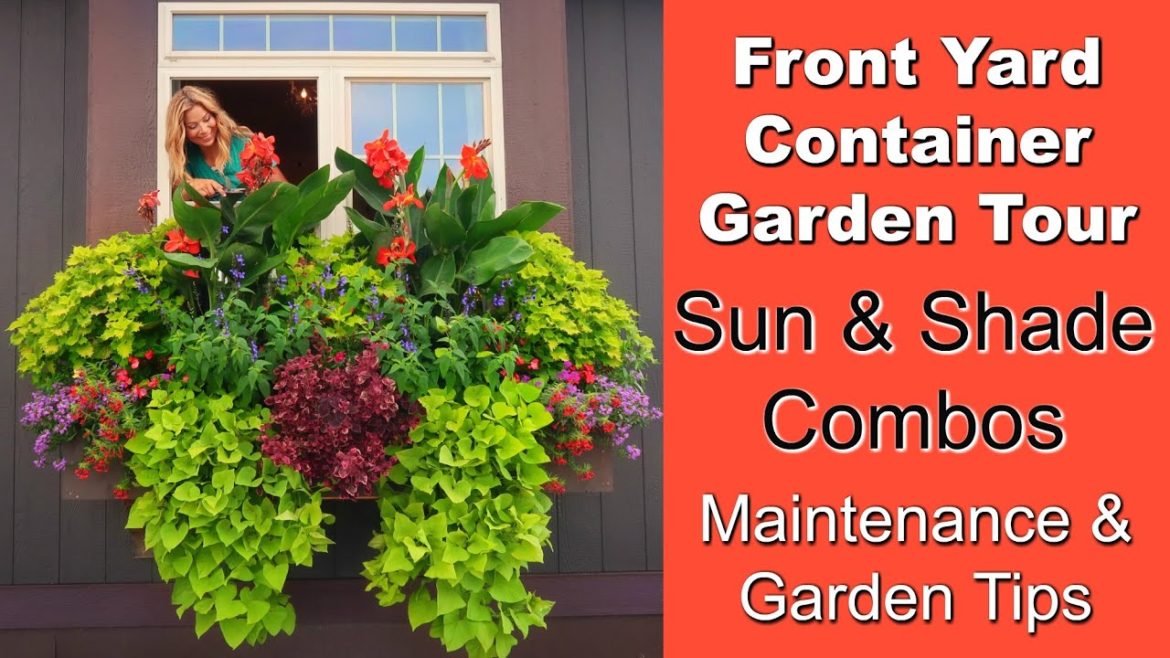 Front Yard Container Garden Tour | Sun and Shade Combinations | Tips & Maintenance // Garden Farm Front Yard Container Garden Tour | Sun and Shade Combinations | Tips & Maintenance // Garden Farm