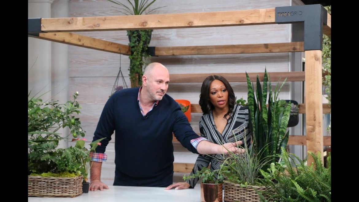 The must-try top indoor gardening trends for 2020