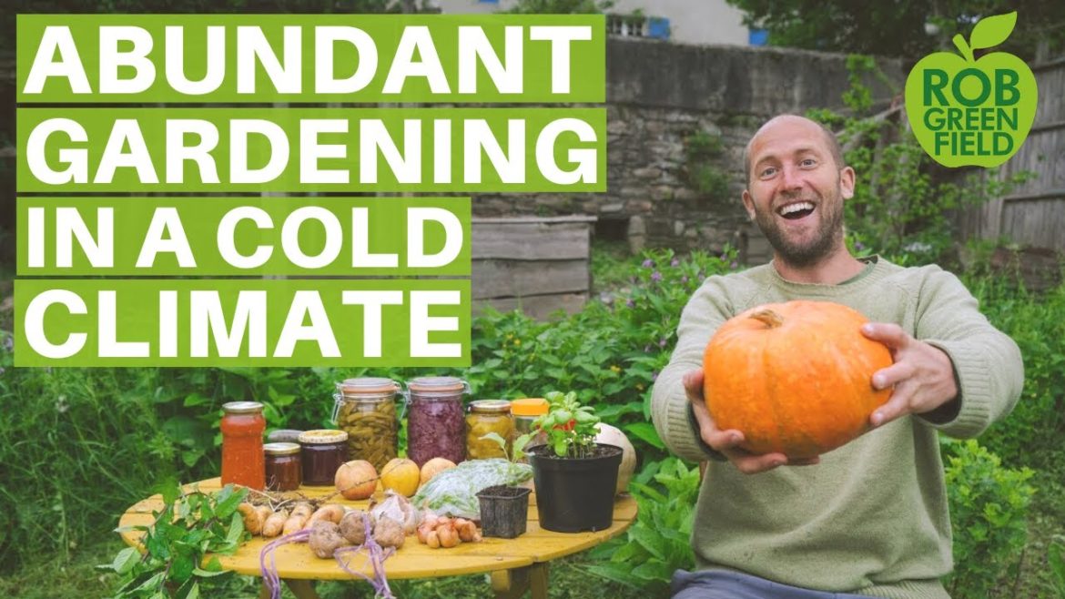 The Easiest, Most Abundant Edible Plants to Grow in a Garden - Gardening in a Cold Climate