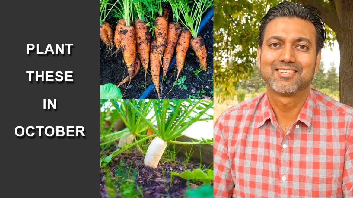 12 Vegetables You Can Still Plant in October 12 Vegetables You Can Still Plant in October