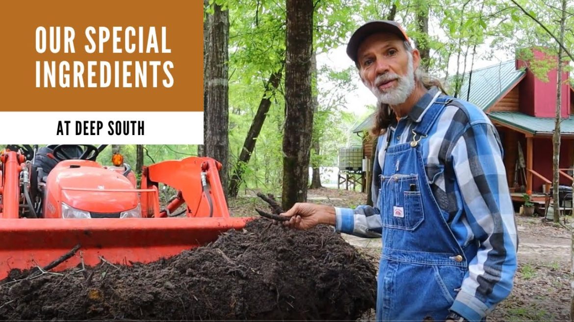 Our SECRETS to Container Gardening! Our SECRETS to Container Gardening!