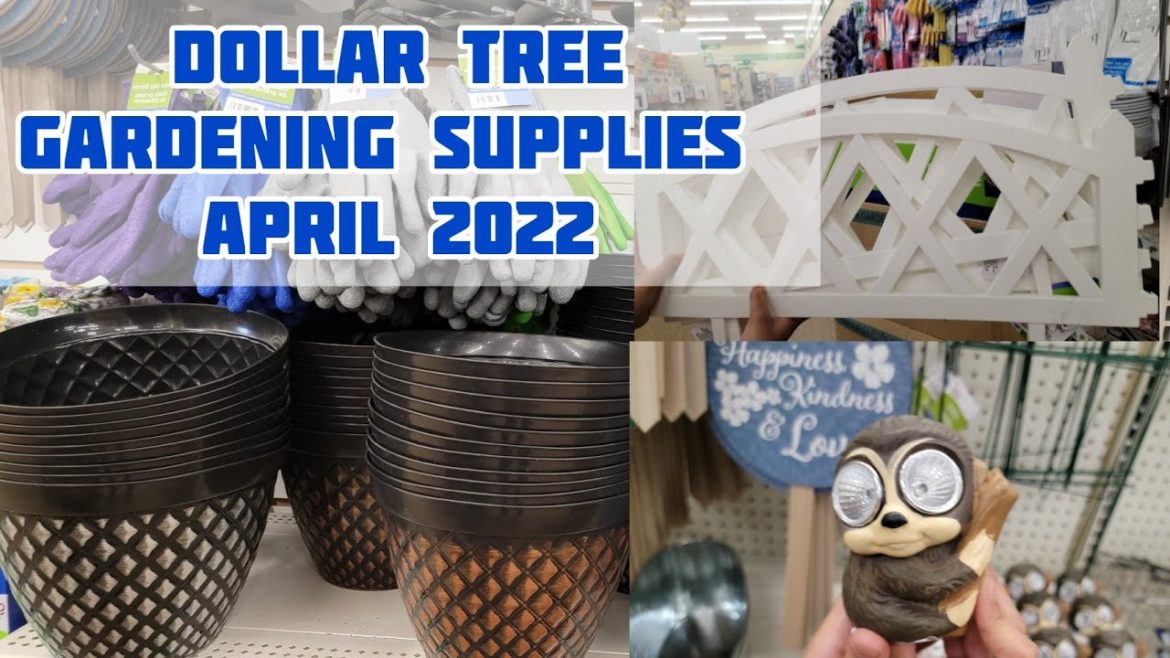 Dollar Tree Gardening Supplies April 2022, Spring and Easter Items, Dollar Store Walk Through