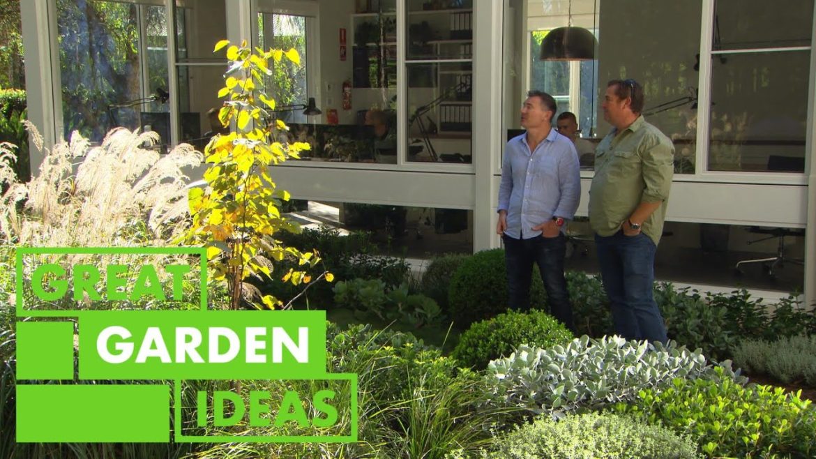 Landscaping Basics for Your Home Garden | GARDEN | Great Home Ideas Landscaping Basics for Your Home Garden | GARDEN | Great Home Ideas