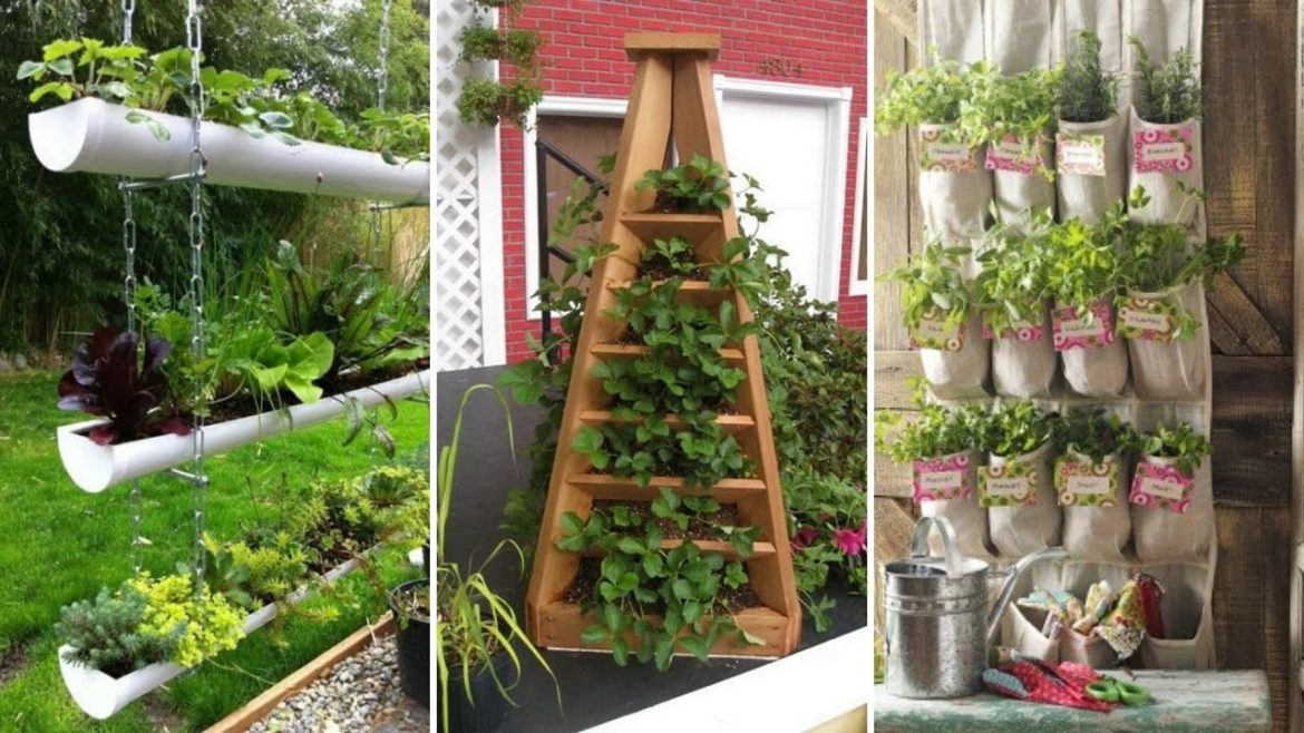 10 Small Backyard Vegetable Garden Ideas 10 Small Backyard Vegetable Garden Ideas