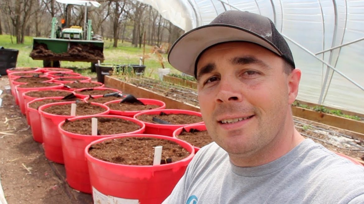 How to Build the BEST Self Wicking Containers! DIY Self Watering Tubs