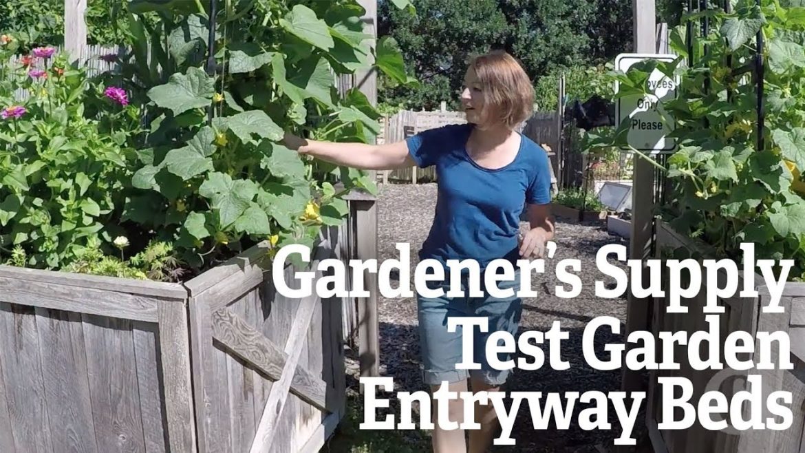 Gardener's Supply Test Garden Entryway Beds
