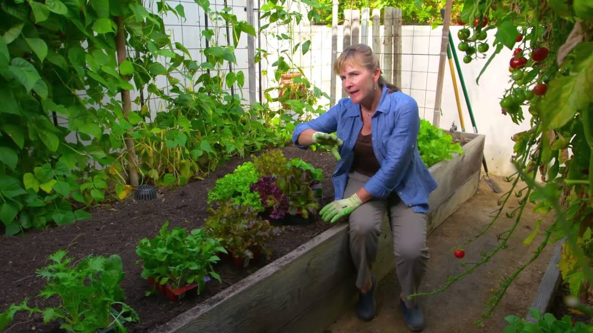 Fall Vegetable Gardening Fall Vegetable Gardening