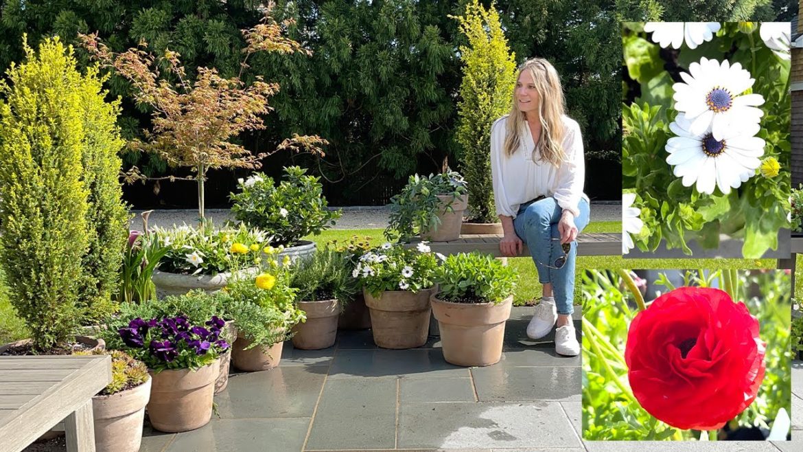 Plant With Me Outdoors! Sun-Loving Container Gardens