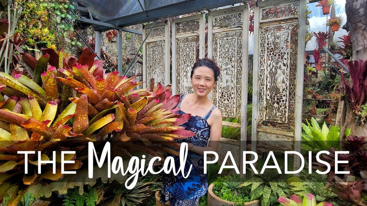Peek into The ARTIST's Garden | Garden Design Ideas & Plant Care Tips @ART & GARDEN ft Fuan Wong Peek into The ARTIST's Garden | Garden Design Ideas & Plant Care Tips @ART & GARDEN ft Fuan Wong