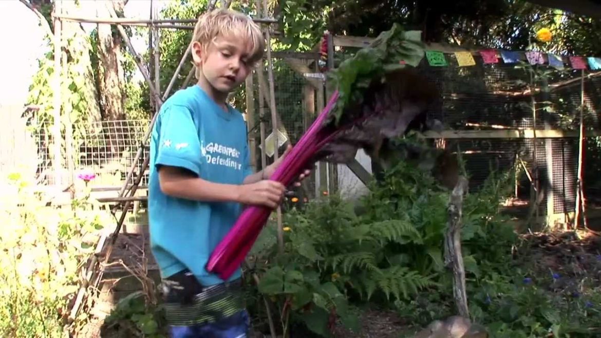 Pod easy edible gardening Pod easy edible gardening