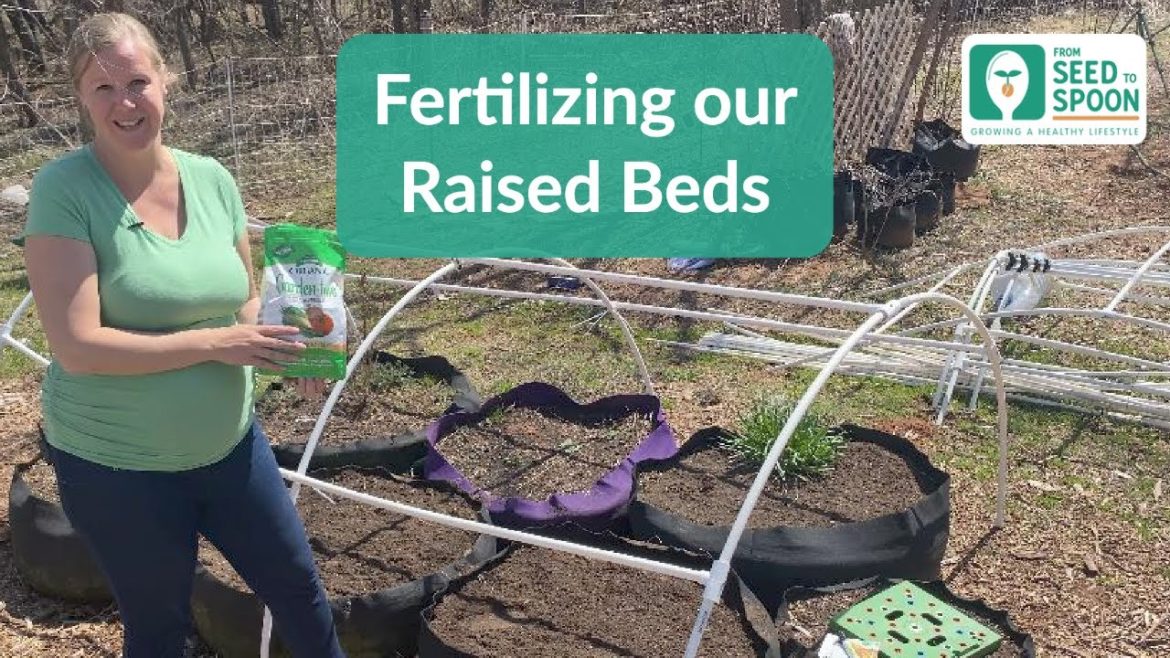 🌱 How & When to Fertilize Your Raised Beds for Vegetable Gardening