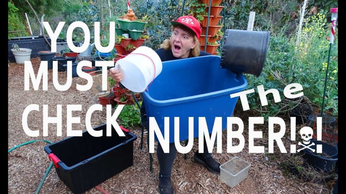 KNOW What is SAFE to Grow Vegetables in CONTAINER GARDENING-Best Raised Beds Storage Container Totes KNOW What is SAFE to Grow Vegetables in CONTAINER GARDENING-Best Raised Beds Storage Container Totes