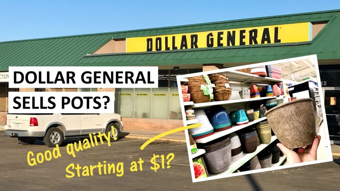 Dollar General Sells Gardening Supplies? YES! Great Quality & Everything Starts At $1 π± Dollar General Sells Gardening Supplies? YES! Great Quality & Everything Starts At $1 π±