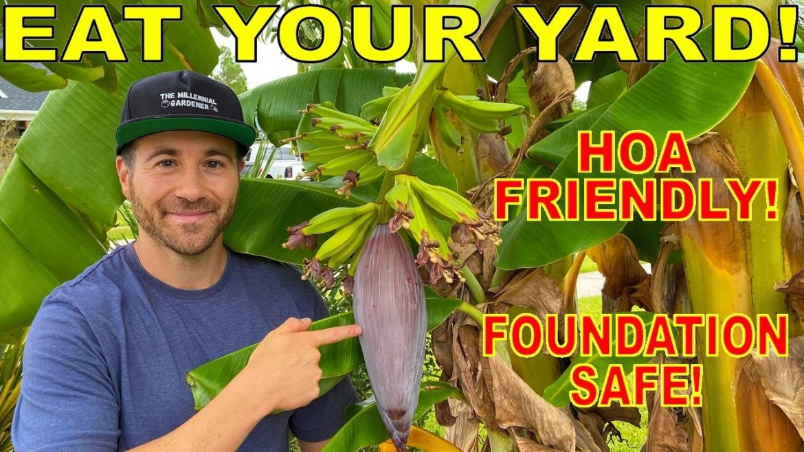 Make Your Yard A FOOD OASIS With These 4 EDIBLE LANDSCAPING Plants! Make Your Yard A FOOD OASIS With These 4 EDIBLE LANDSCAPING Plants!