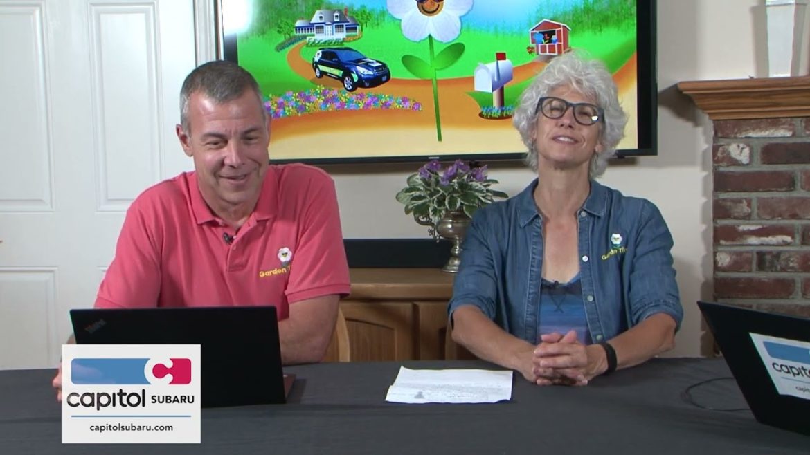 Podcast 4 - Garden Trends - late Aug 2022