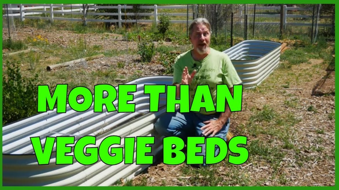 Easy Garden Design (with Metal Beds)