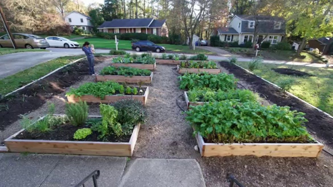 Front Yard Garden Timelapse
