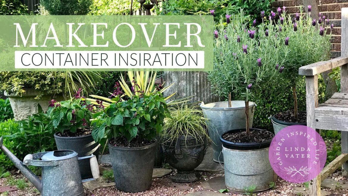 BEFORE & AFTER Container Garden |