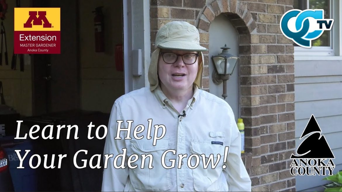 Anoka County Master Gardener's Tip 1 | Gardening Tips | QCTV Anoka County Master Gardener's Tip 1 | Gardening Tips | QCTV