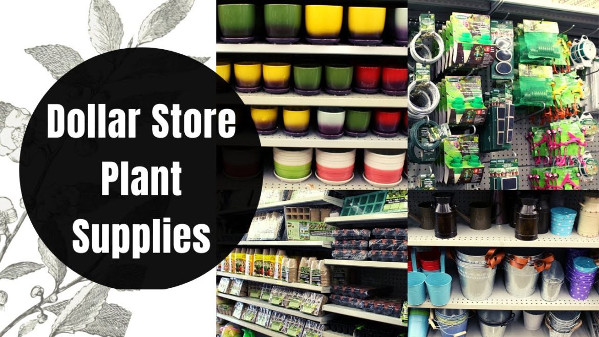 DOLLARAMA Shopping for Gardening Supplies + Plant Pots + Home Decor in Canada Spring 2022